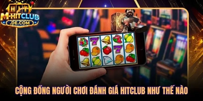 Phản hồi trực tiếp từ người dùng thật trên nền tảng Hitclub